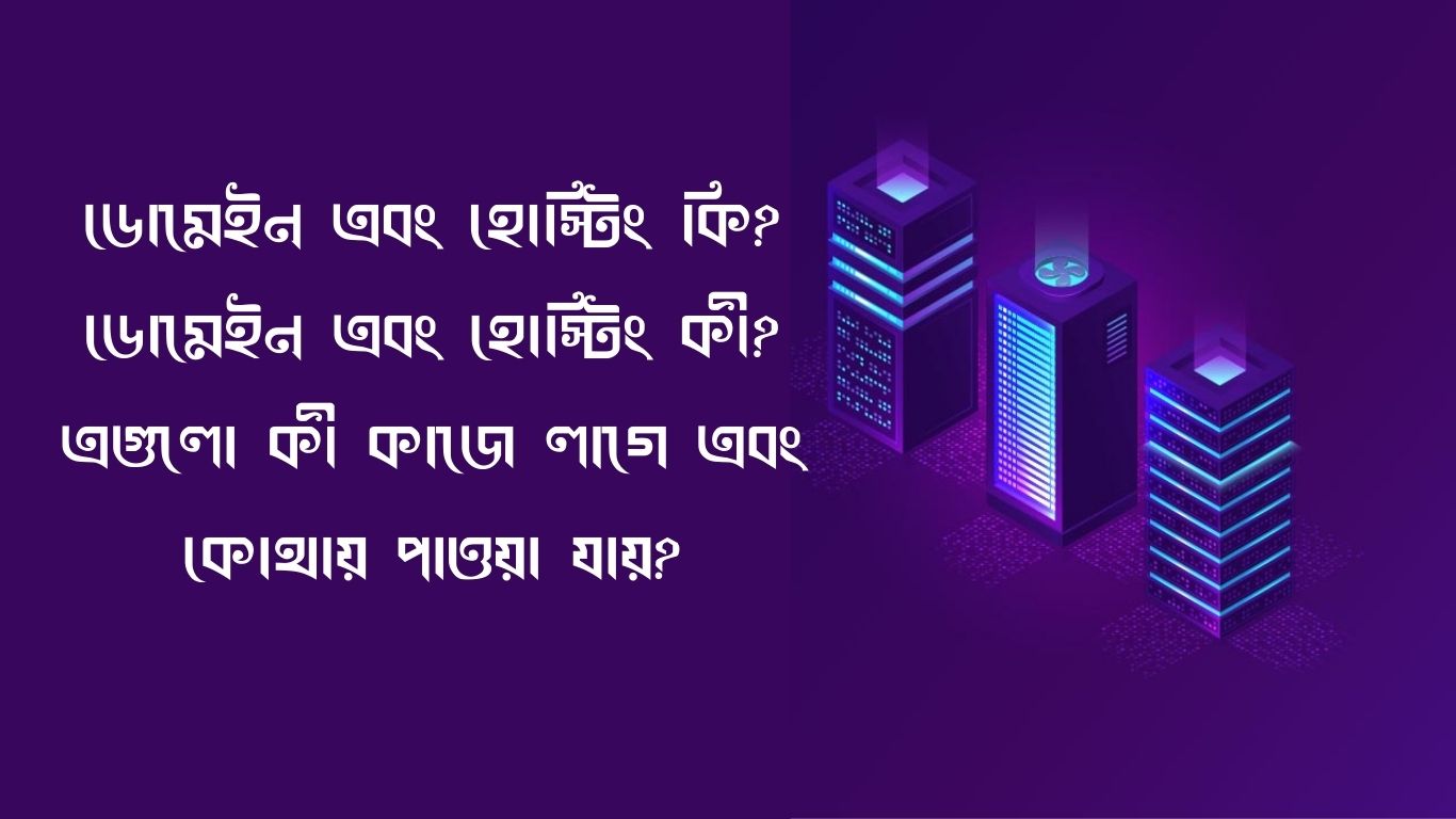 ডোমেইন এবং হোস্টিং